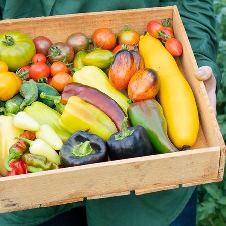 Keep food safe in an emergency 