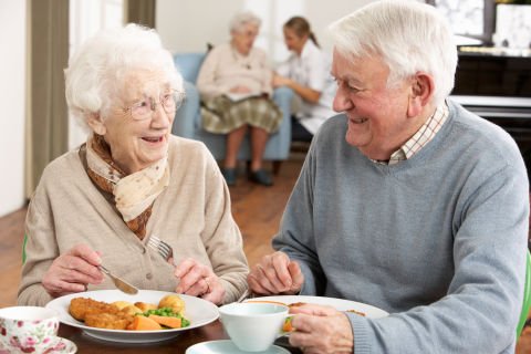Aged care food complaint hotline now open