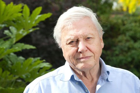 The Attenborough legacy- Ian’s view