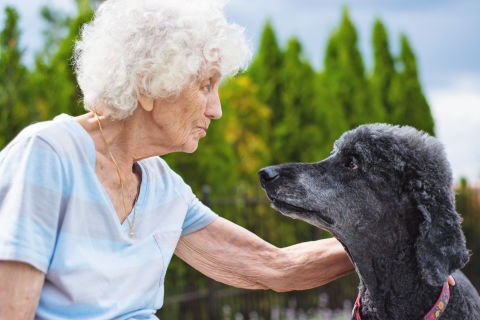 Pets in aged care – dos and don’ts