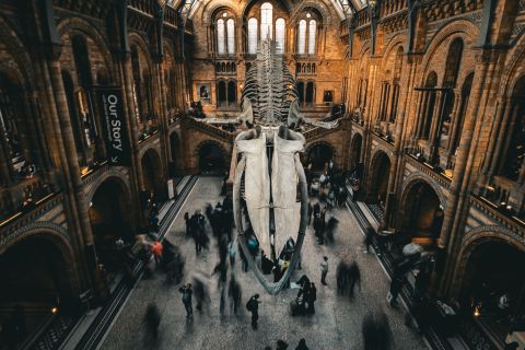 Is culture a fountain of youth?