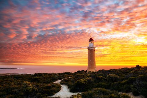 Kangaroo Island on Pacific Explorer