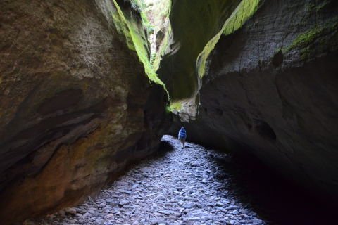 Carnarvon Gorge Glamping Signature Tour by National Seniors Travel
