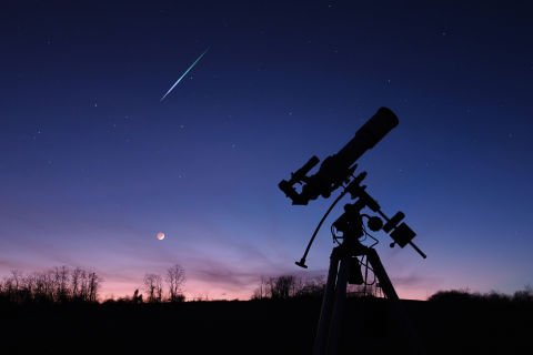 Life under the Southern Cross