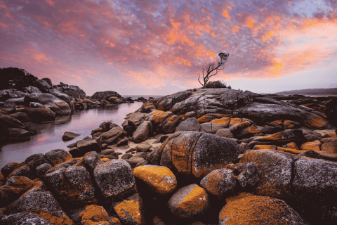 Into the wilderness: Tasmania's Bay of Fires