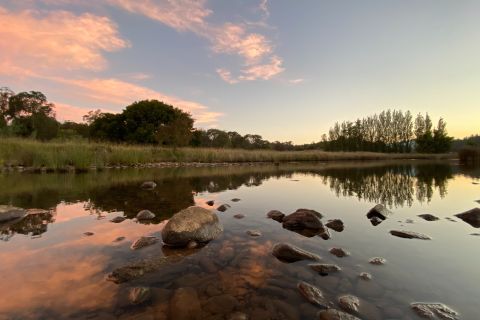 Perfect Tasmania