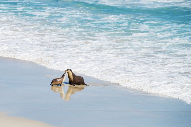 Coastal Experience on Vasco da Gam