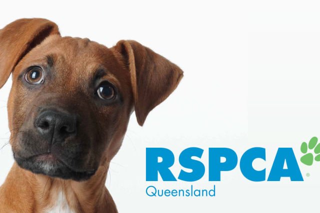RSPCA QLD