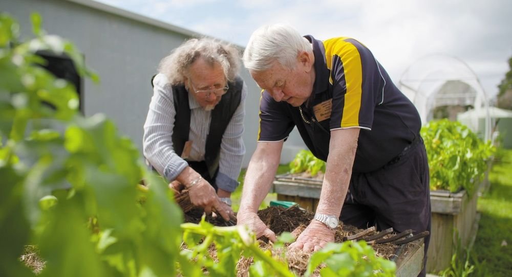 A guide to growing veggies - National Seniors Australia